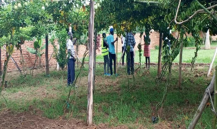 Agricultural field visit